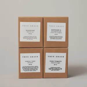Fresh, Citrus & Green Candle Bundle