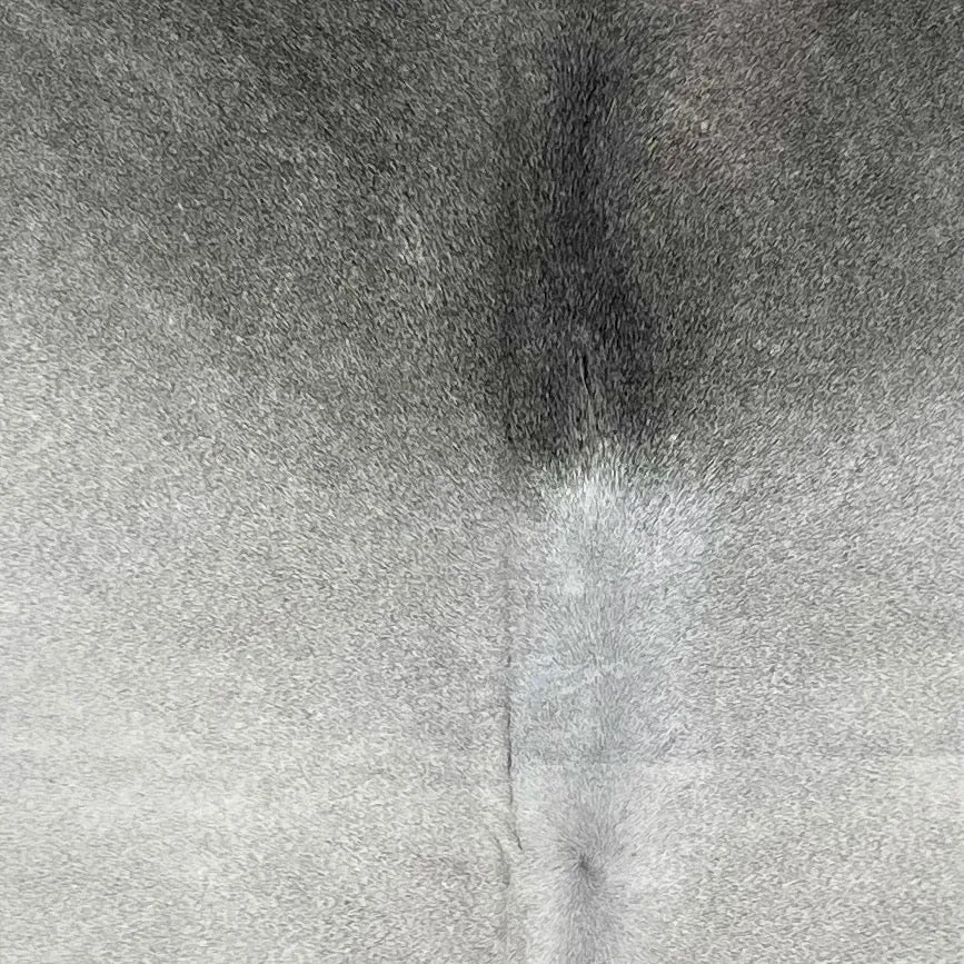 Large Two Tone Gray Brazilian Cowhide, 1 brand mark - 7'9" x 6'3" (BRGR245)