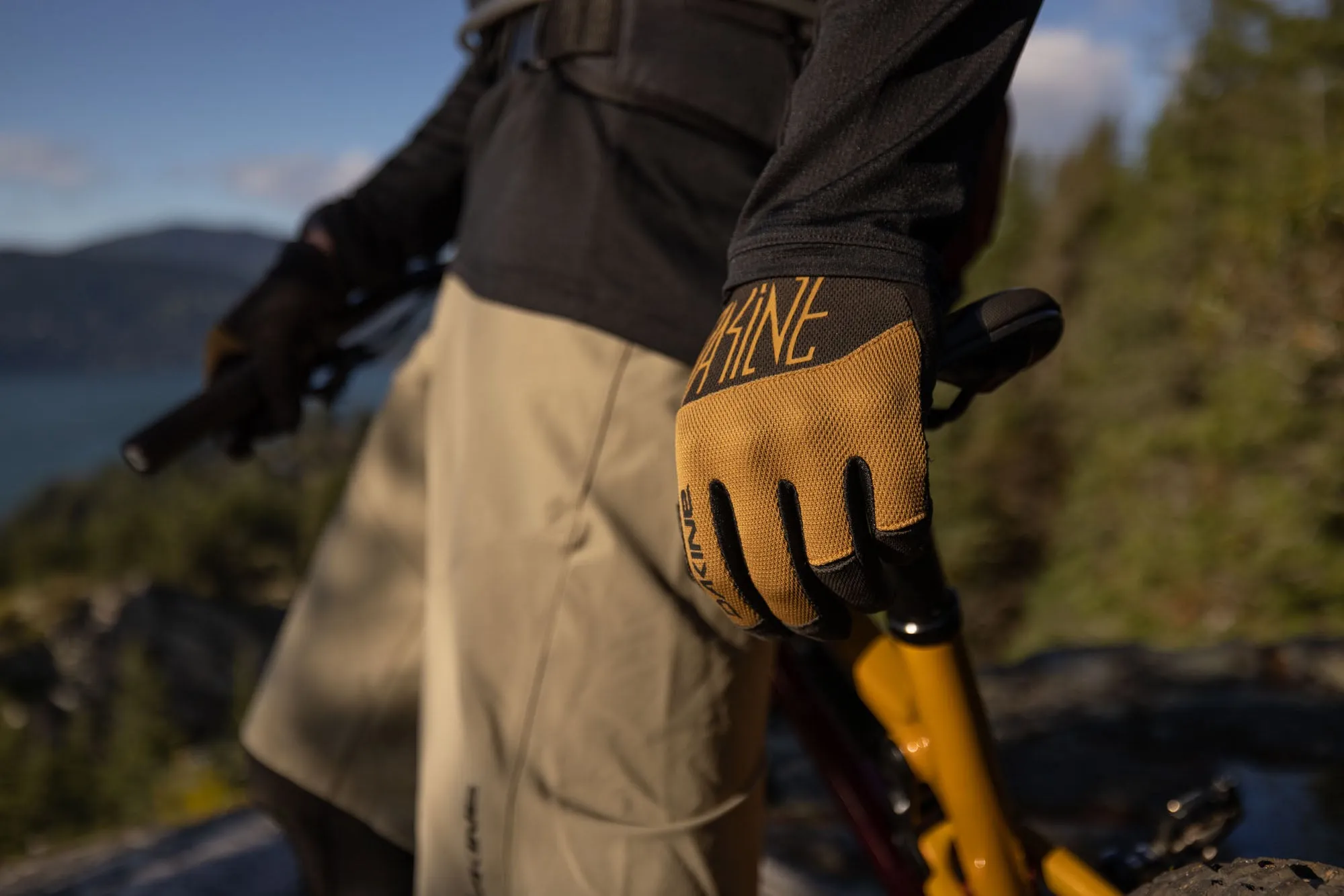 Syncline Bike Glove